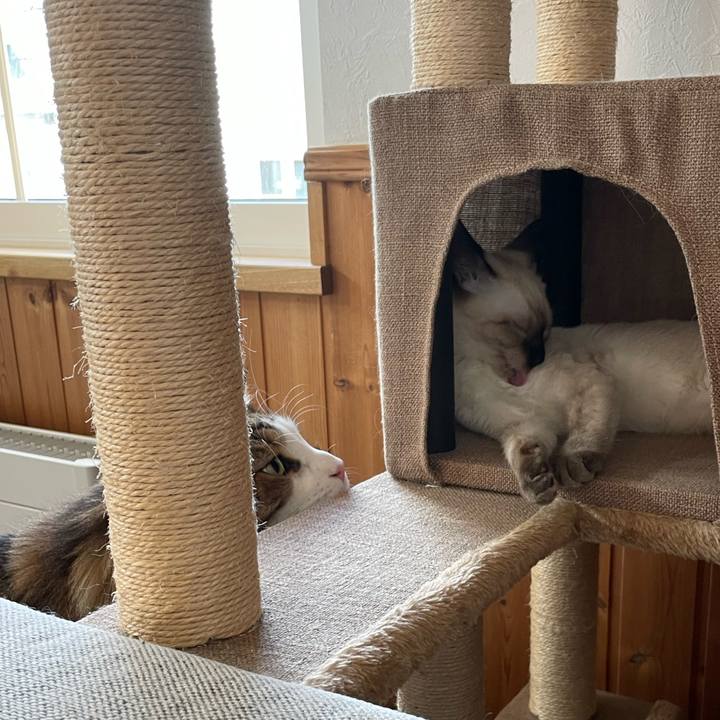 5dd867eb 6902 4ea7 882b 1f5ba5a4c810 1694122924979