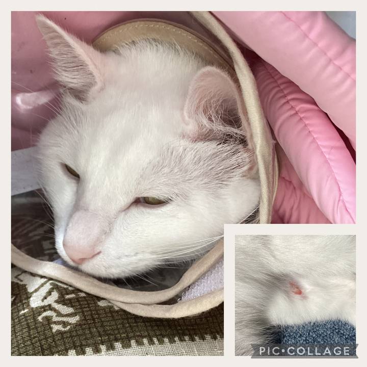 5dd87f5b abf0 41d7 806f 2f1360a3d8de 1693178930469