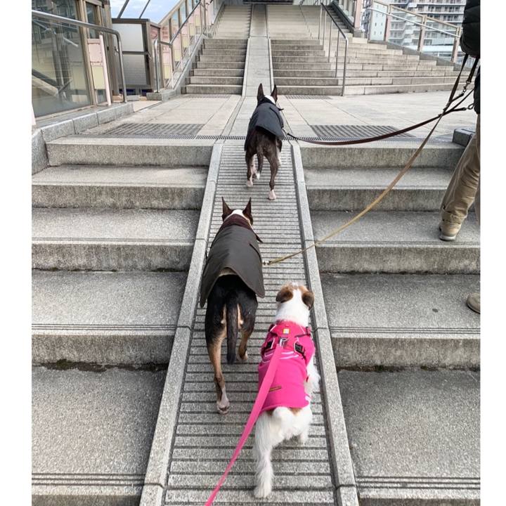 5dd89dee 9174 4823 9a72 633a23c2be23 1580025793317