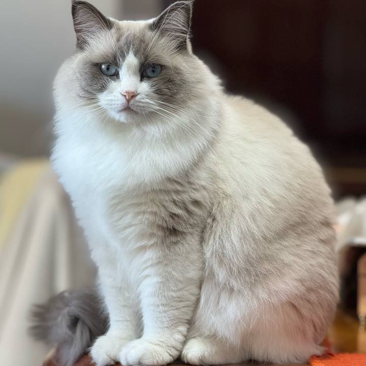 5dd8bb76 b0b9 476e ae60 5f3e3810ef33 1706824818089