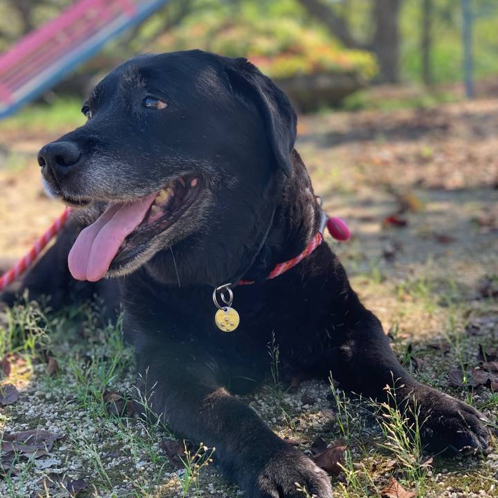 5dd8dfd7 30f4 4b56 bba3 1ebe75079968 1597532113818