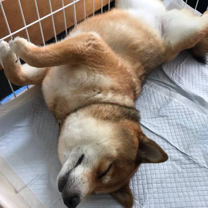 5dd8eddf 4f48 4157 bde1 000495812f08 1594650910958