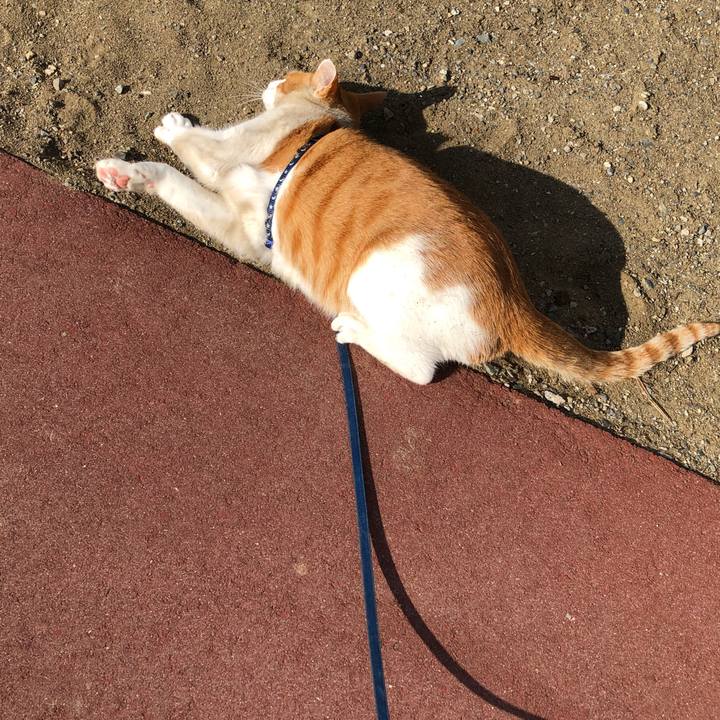 5dd901ef 8f63 46a4 b6cf 8d338fd12d09 1548225516765