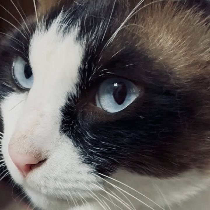 5dd9087a 6201 4e11 84ea 09c0476095ed 1751684118335