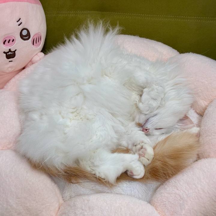 5dd91c99 0d45 465d bc35 e82949f329fc 1771723573108