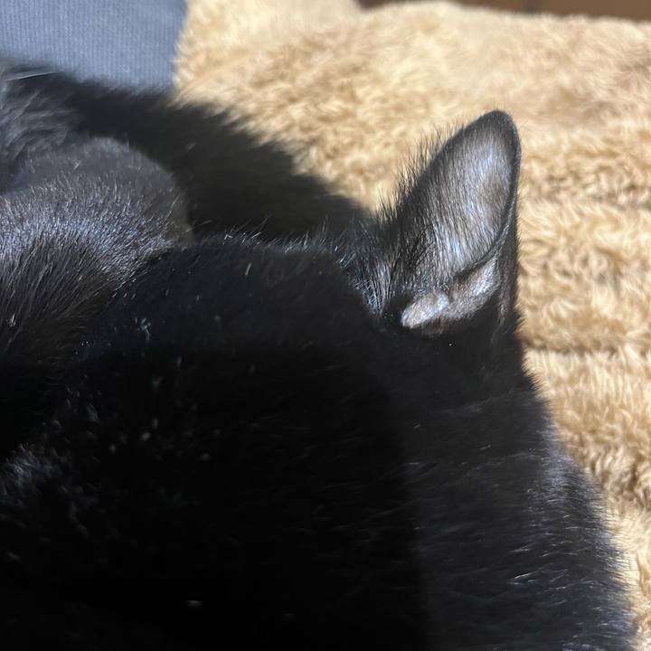 5dd9766b 01f1 4a7d 8fd9 511cef9b68f1 1642738797438