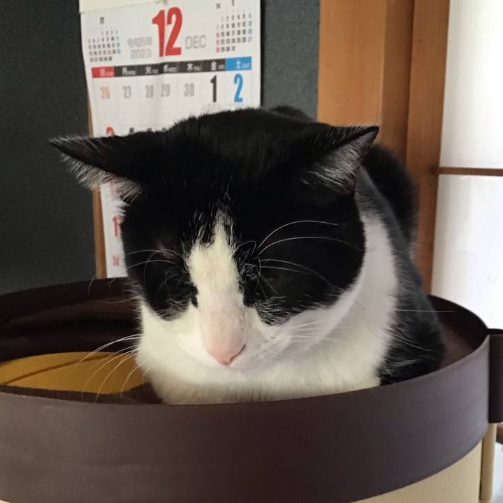 5dd98349 a71c 44bf 9328 2b221a217b61 1703836363042