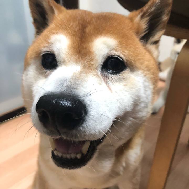 5dd9b882 9b83 4882 93c0 8494b19b7471 1559861624487