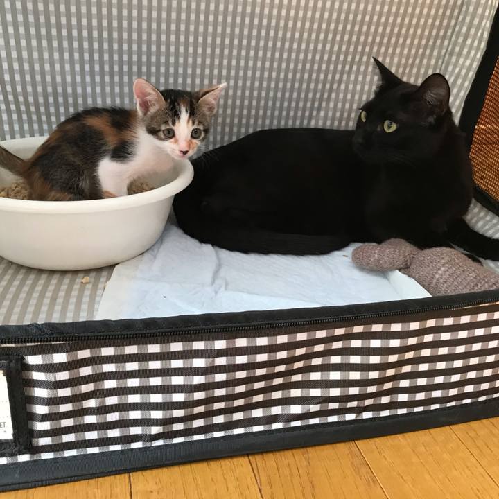 5dd9d436 8b88 4e5b 89da 12b945ac3a66 1596937744499