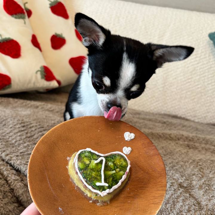 5dda5156 566c 4e08 9600 737b66022cda 1771046206374