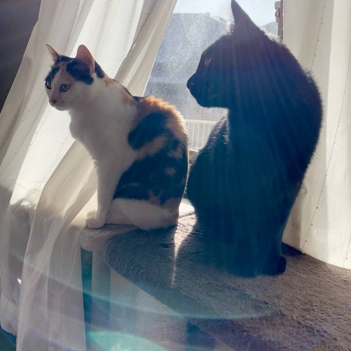 5dda515a 1e04 4c2b b61d fae2bd53a214 1540521915687