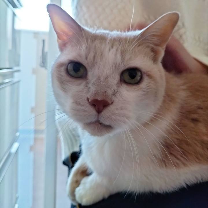 5dda5906 257f 4e7b 9539 a8f81a8a5747 1707604528348