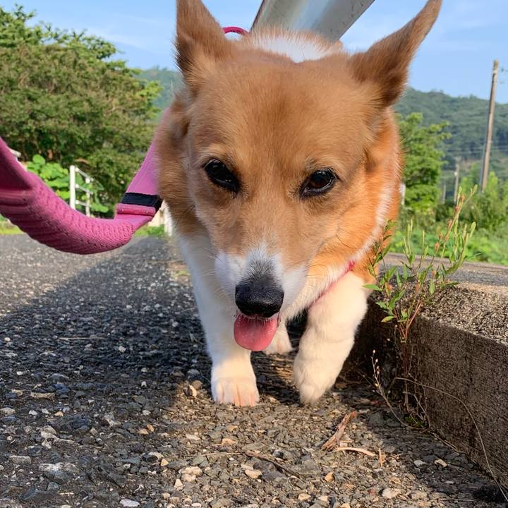 5dda7532 0724 4ffa ae47 7e89337fd849 1720132303354