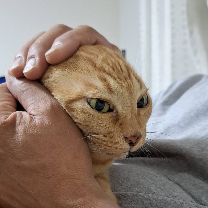 5ddaeb71 2bcb 4fdf bade e83bf8aacb90 1750726016243