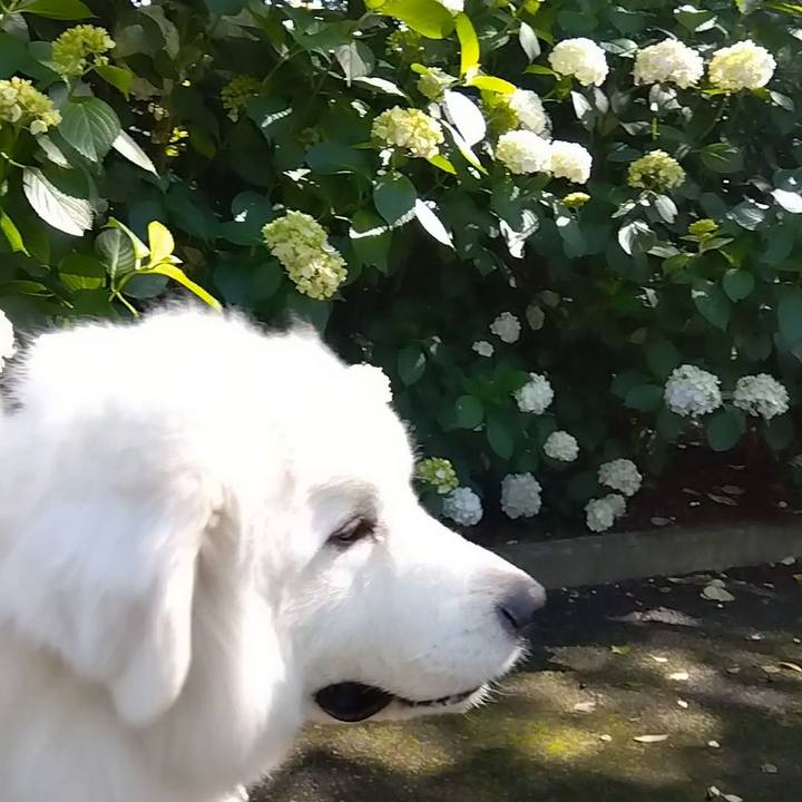 5ddb1439 a00f 4a41 831c 1f0fe700b02f 1685860931026