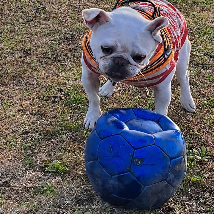 5ddb2464 23c3 40c1 a668 5dcb1e822d70 1703665409787