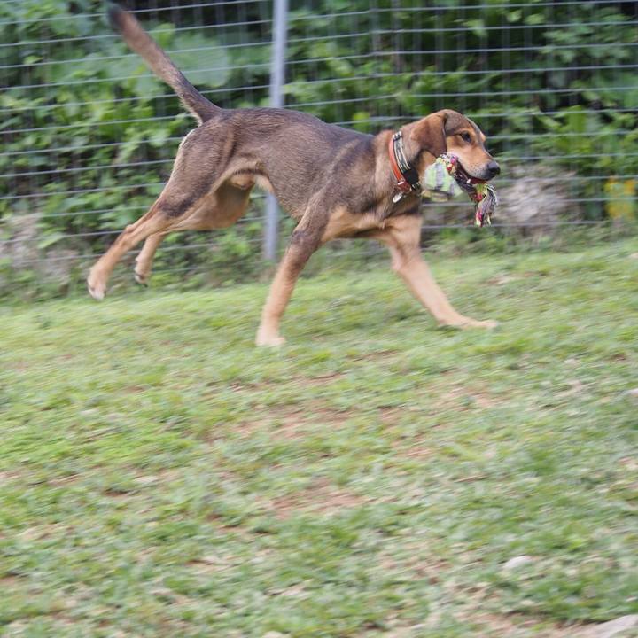 5ddb2592 af8b 4120 89a2 dbb78e072ad8 1516526611477