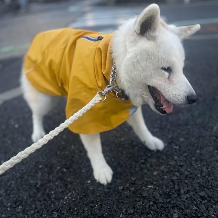 5ddb3ed1 babe 4599 80b1 00e81425ee9c 1759155446965