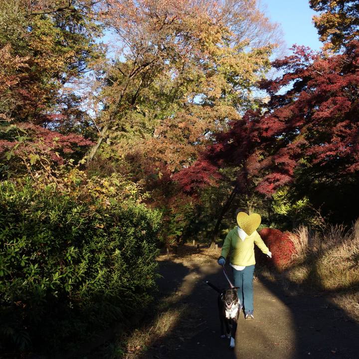 5ddb5c6d f4e9 4963 bbea 54f6e28973de 1732841883780