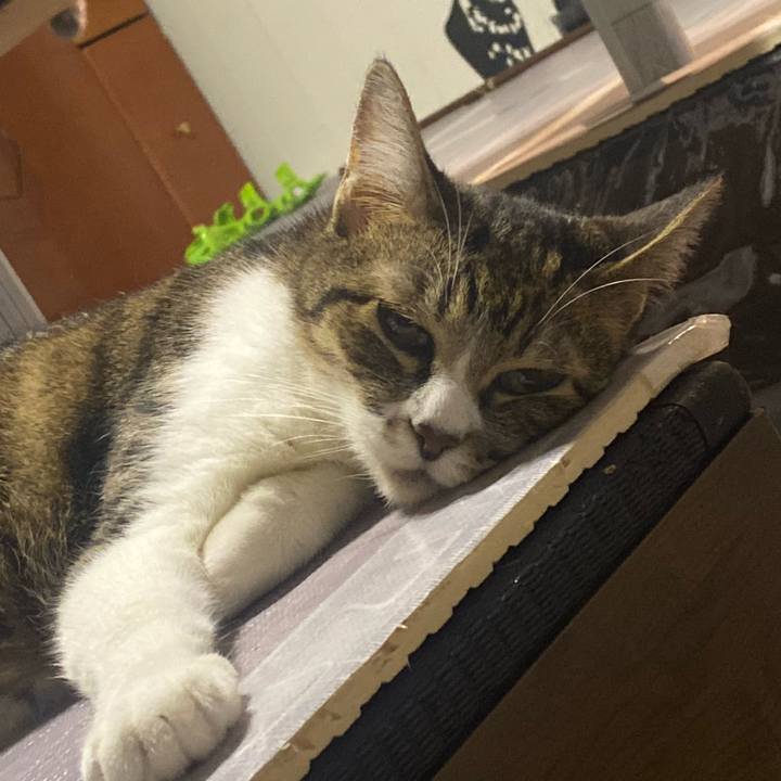 5ddb7e27 ad49 4cfb a10c 92350a3940b2 1626957014022