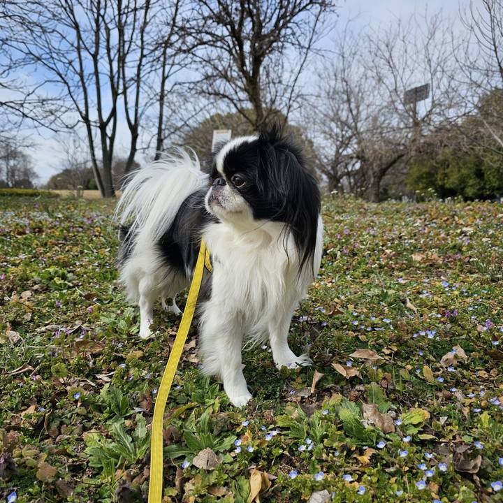 5ddc1b5d 2bbd 4d5e bab0 cb1ce05884e3 1709189000415