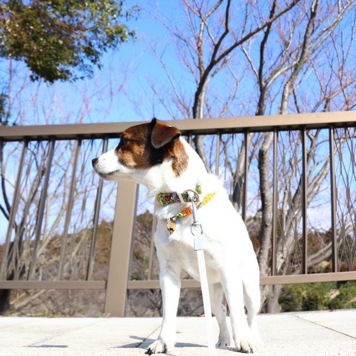 5ddc5d2b 7e41 4170 99c3 7c113e085f1d 1550378945848