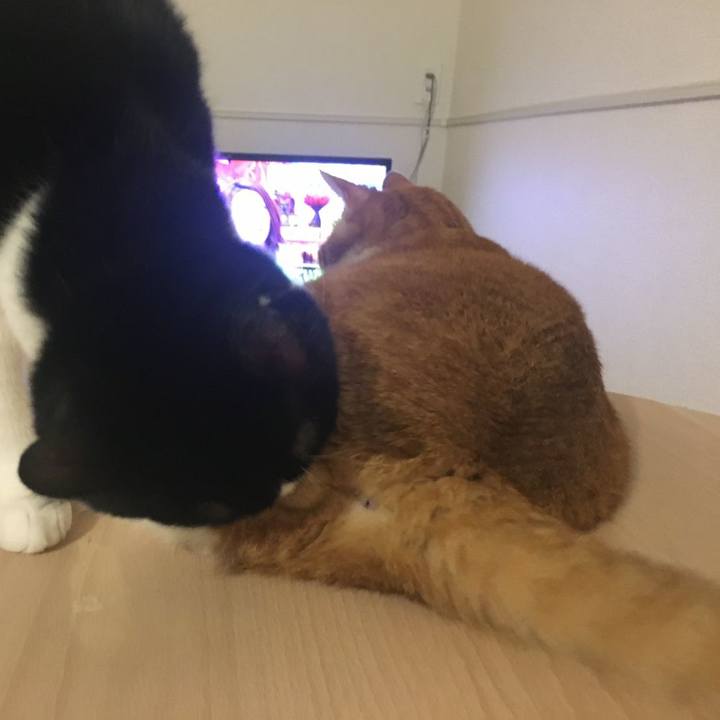 5ddc6422 2e1b 4f2c 9f8a 2c8fd5c4754f 1583133646022