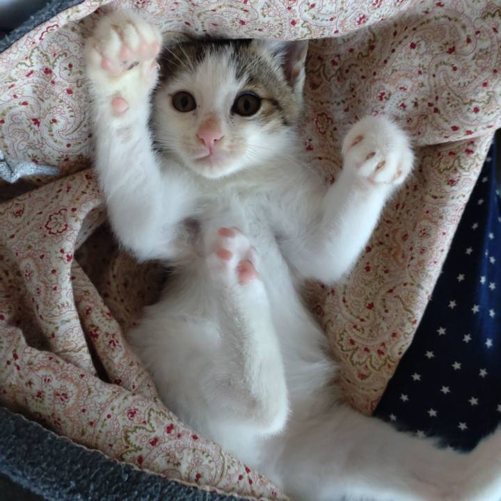 5ddc6da7 11ec 4b59 bad2 cbc58118984e 1632533137511