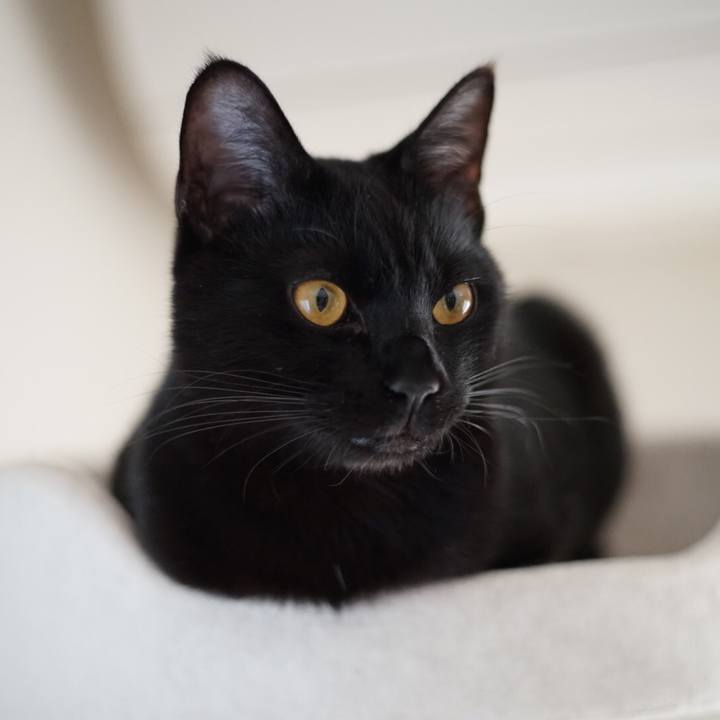 5ddc92f5 a4f4 4932 ba4e 853faef9ff24 1518738332356