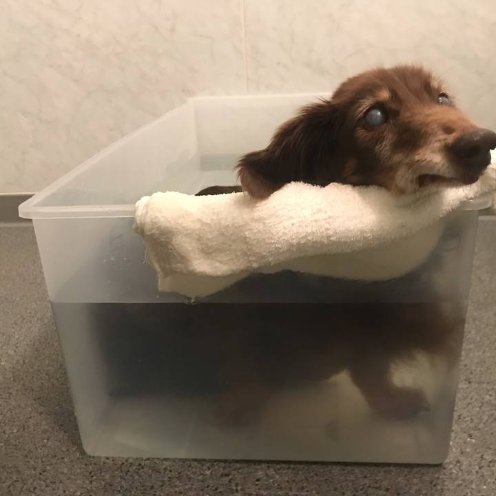 5ddc9c65 bef6 4394 9093 7bba8bedfd66 1583457986813