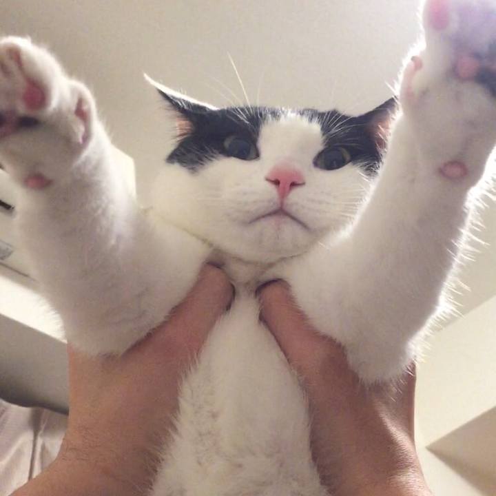 5ddd6cfb aae1 4c16 8da7 e4a69b59f35e 1571923209897