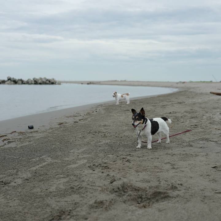 5ddda4fc 16fd 4c3c 9cfc b4769edbc8d8 1530678080177