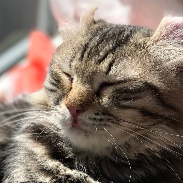 5dddb88c a627 4bf5 b859 a0aa6070ddb0 1525470302109