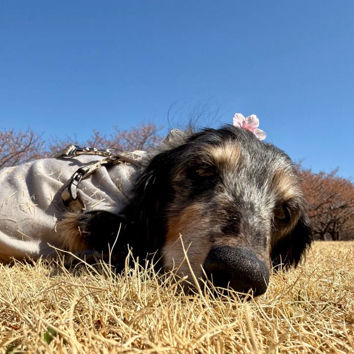 5dddd1a2 cc65 497c a2a4 097a457322bc 1773484472198