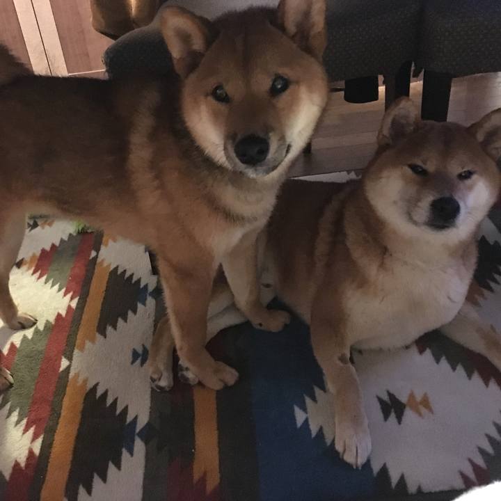 5ddde2c4 d325 4f16 a5a6 127acd25879a 1517728504187