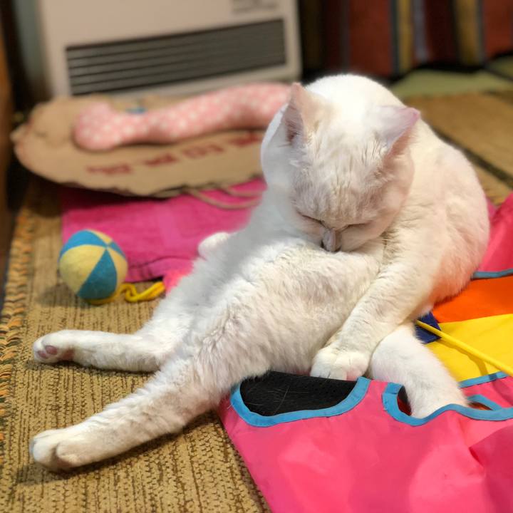 5ddde5ef e020 440f b0e8 dcf385ffca49 1532248026743