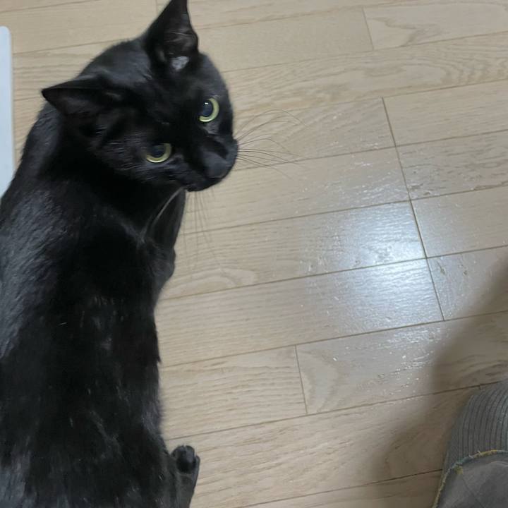 5dddeb3c d6a9 40eb bdfa 45113805d790 1697116162731