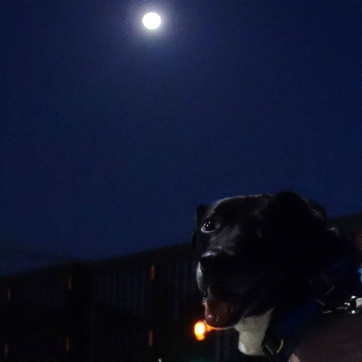 5dde172a 6044 486e 919d 495f1357d3e2 1683199423736