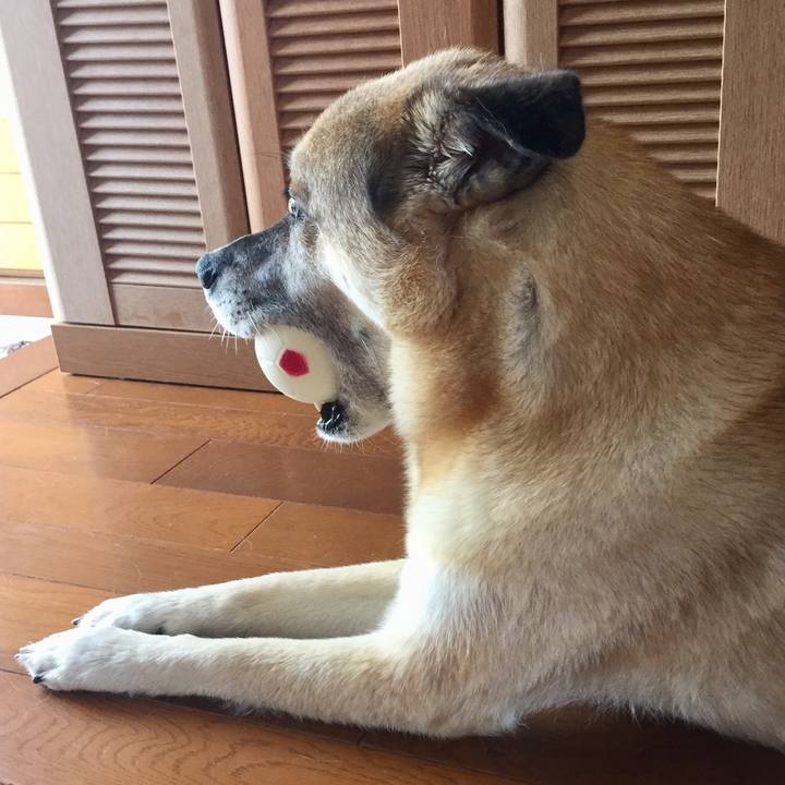 5dde22c7 46d2 4a97 855b 5ff890059589 1530528786577