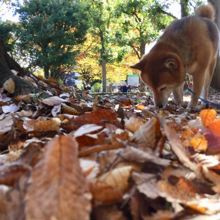 5dde476b 82b1 4c4e 86c8 7d2830b1d8d5 1573260064307