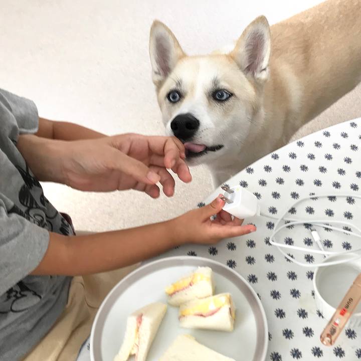 5dde5890 627e 481e bdd5 cf1fbd2c57c3 1534135235483