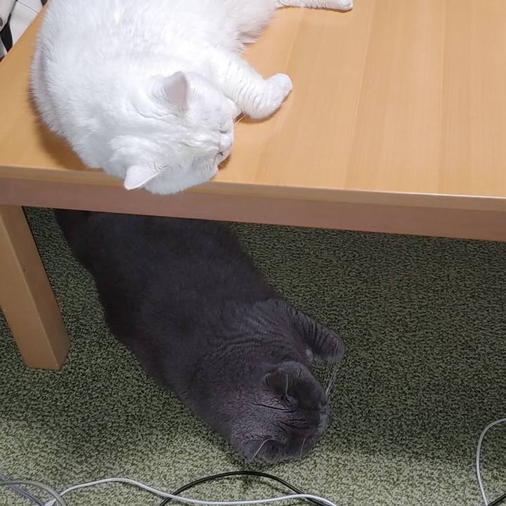 5dde5c67 6bde 4ad4 9eb8 84f915b77004 1720882046219