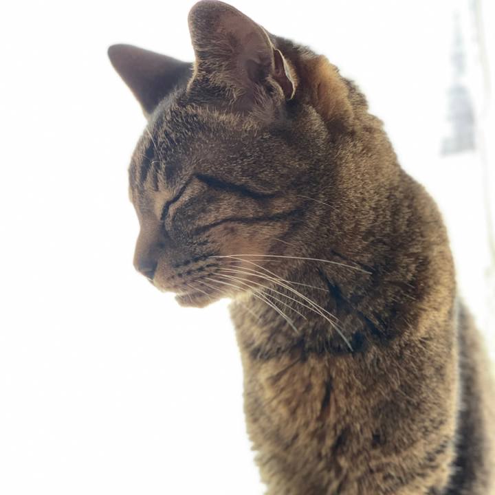 5dde76a5 3e21 4e01 8469 0b6670bbded1 1583458063140