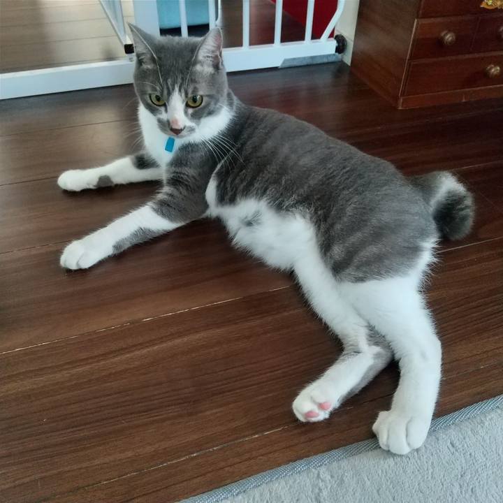 5dde9163 0fe6 4621 967b a8e1e3d78467 1597012817899