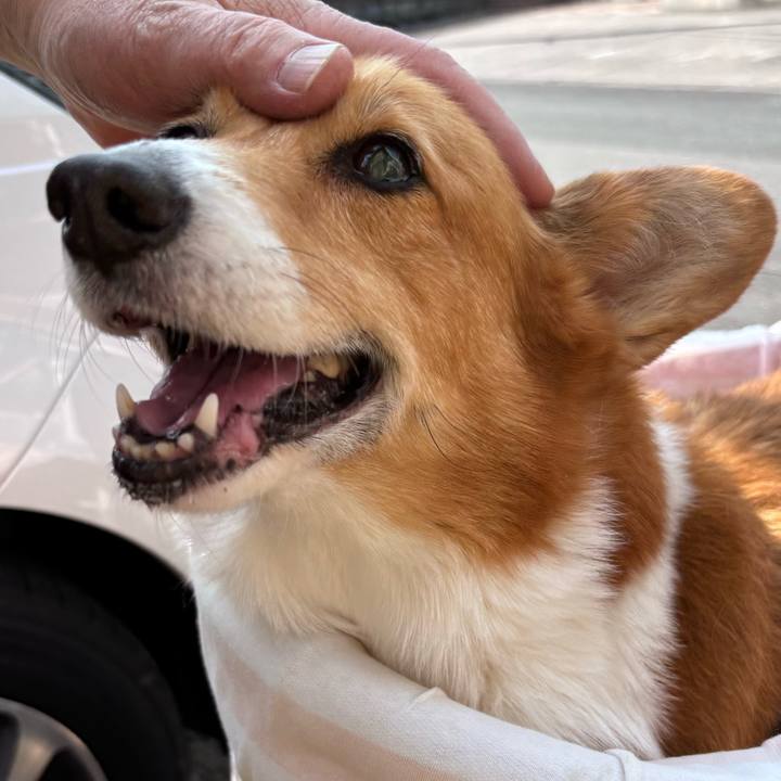 5dde9193 fb6a 42b7 9142 2582b44e4331 1741834846344