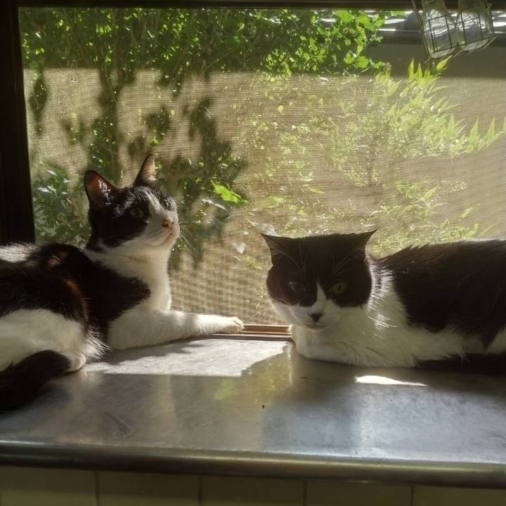 5ddeb08c 7935 442f 8458 558c64ebb821 1718358916264