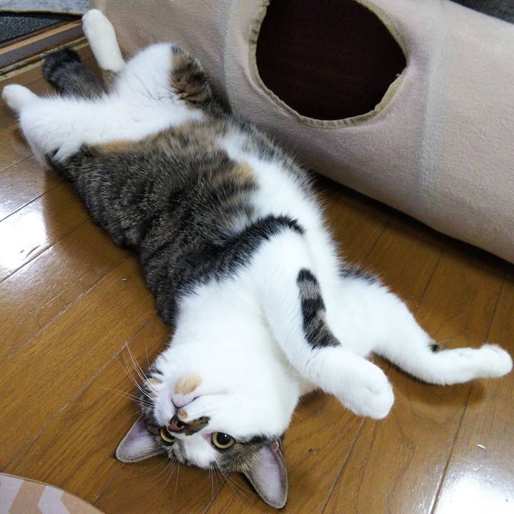 5ddec18a 6fff 4653 8788 4b5b13edb0ce 1630499136053