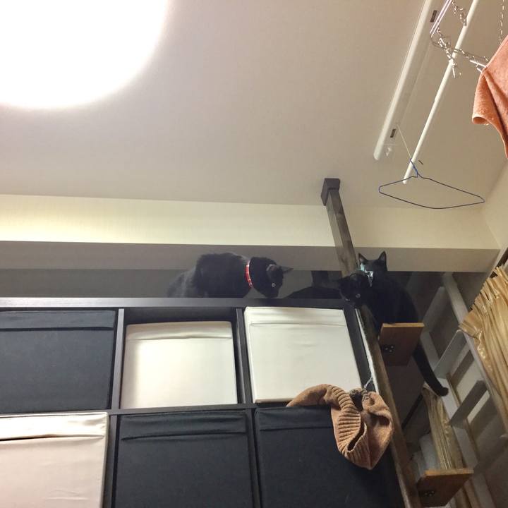 5ddeda9e eef1 4a7f 95de 53eceb4f43b9 1515161854944