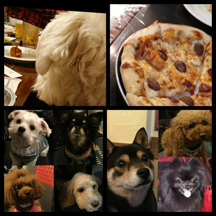 5ddf0cc8 46fa 4d9f a8ac bf10e2c7b35a 1554093532125