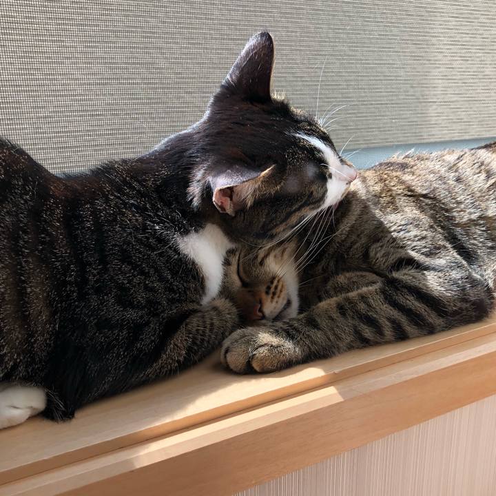 5ddf1c75 7ba9 4d53 940d 143061935180 1553719457947